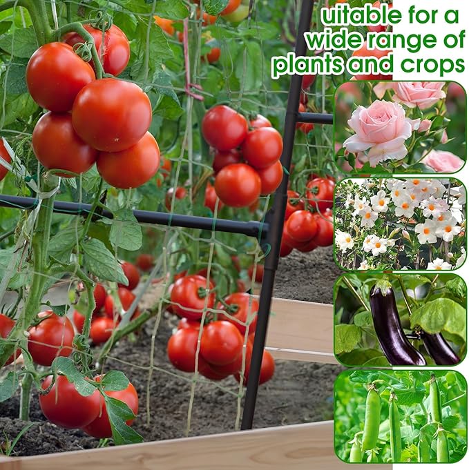 Lalahoni Garden Arch Trellis for Climbing Plants Outdoor, 7.8 Feet Tall Metal Large Archway Arbor Trellis Vine Plant Vegetables Squash Pumpkin Peas Beans Cucumber for Garden Raised Bed, Black Thereasonyoulovegardening