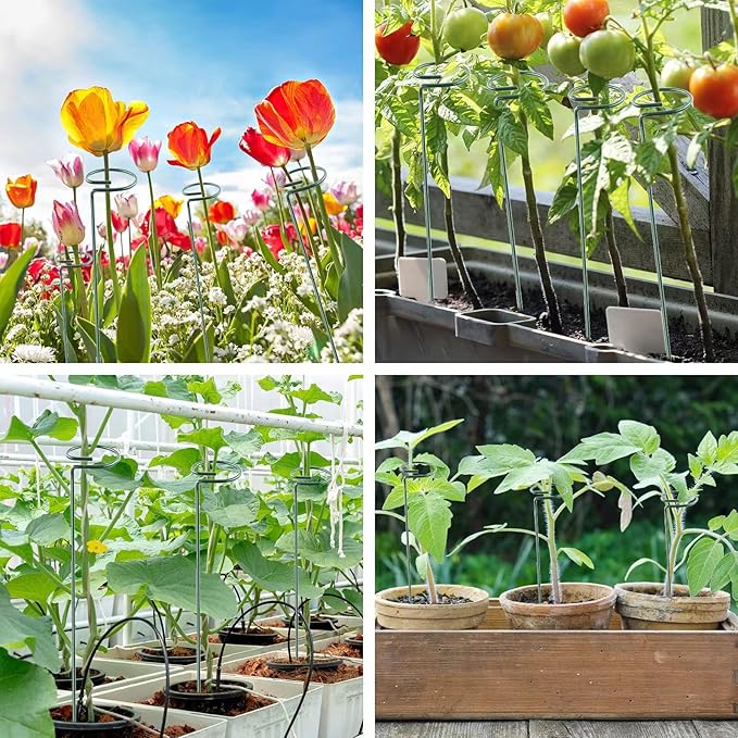 24 Inch 20 Packs Plant Support Stakes, Garden Single stemmed Plant Support Hoops Plant Prop for Flowers Orchid Tomatoes Peony Lily Rose Gladiolus (24 inch) ThealynGardens