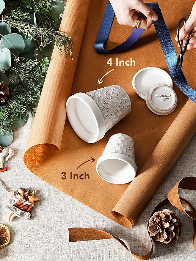 LE TAUCI 3 Inch Mini Succulent Pots - Very Small Ceramic Planter with Saucer, Tiny Embossed Flower Pots for Lithops, Mini Cactus, Air Plants, Fairy Gardens - Indoor Home Decor, Set of 4, Arctic White LETAUCI