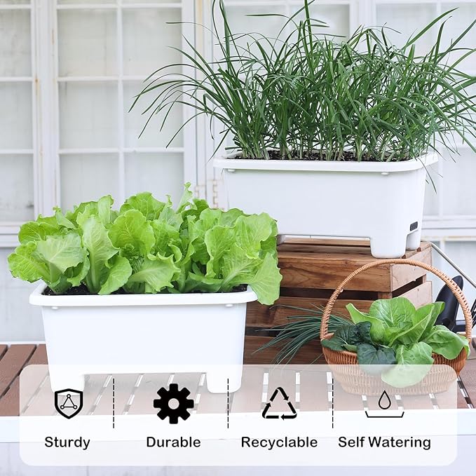 Self-Watering Rectangle Planter Boxes 8-Pack, 15.7-Inch Window Box Planter with Drainage Holes & Trays, Pots for Vegetables, Herbs, Flowers, Garden Windowsill Balcony (White) Oliz