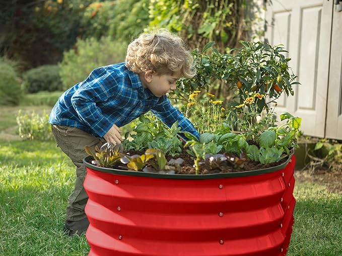 Plant & Plot Galvanized Raised Garden Beds Outdoor // 4×2×1 ft (2-Pack) Planter Raised Beds for Gardening, Vegetables, Flowers (Red) // Large Metal Garden Box PlantPlot