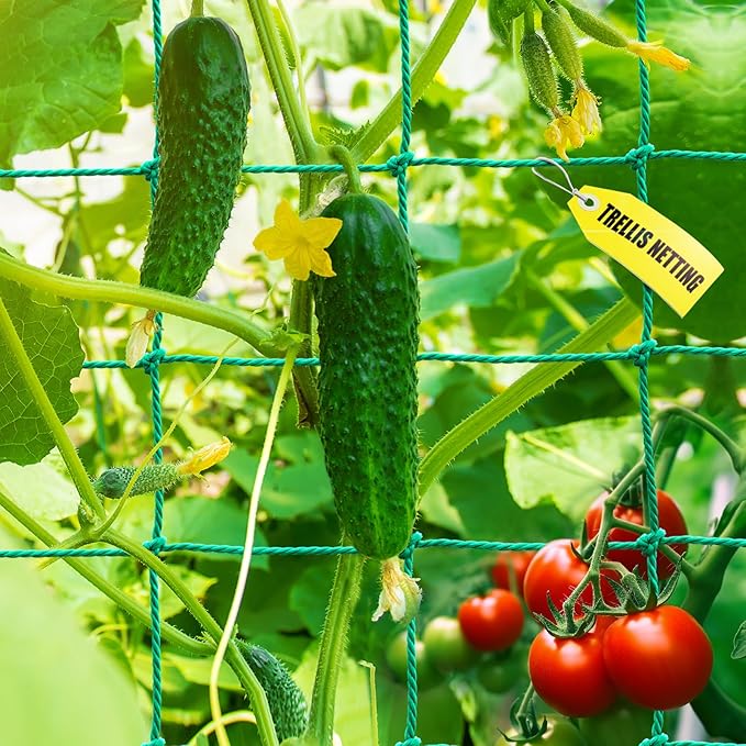 Garden Trellis Netting - Heavy Duty Trellis Net for Climbing Plants, Plant Netting for Cucumber, Tomato, 27 Strands Nylon & 4x4 Inch Mesh, Grow Netting for Fruits, Vegetables, Grape, Bean(6.6x32.8 FT) SHPPETONB