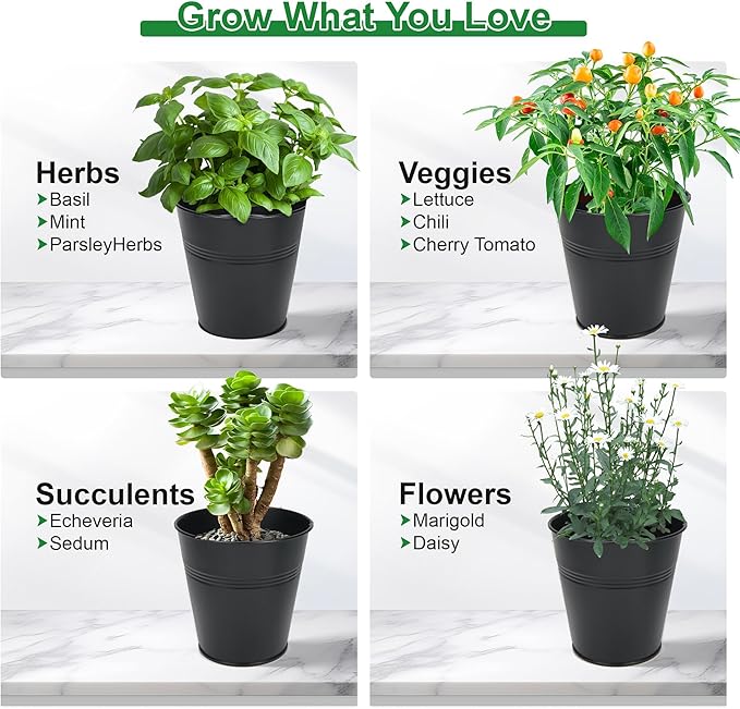 Herb Garden Planter Indoor Kit – 6 Metal Pots with 2 Trays for Windowsill & Kitchen Counter – Modern Decorative Indoor Planters for Herbs, Succulents & Small Plants, Black Wacloud