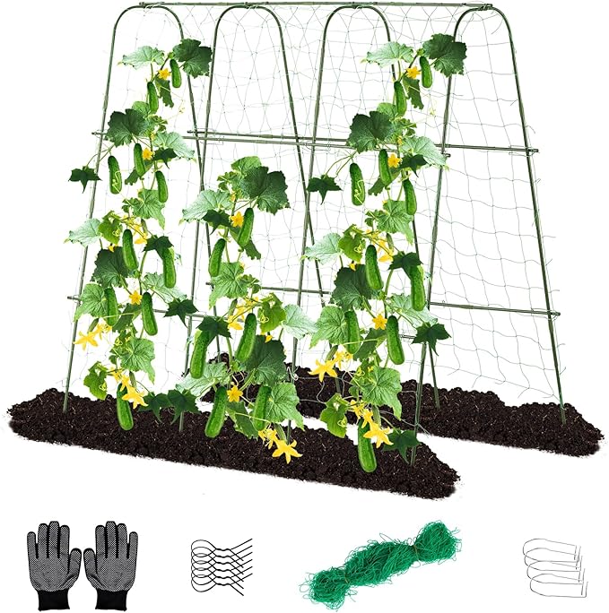 Lalahoni Cucumber Trellis, 65" X 65" Metal Garden Arch Trellis Climbing Plant Outdoor Support for Vine Fruits Flowers Vegetables Peas Beans Squash Cucumber Tomato Raised Bed, with Netting, Lightweight Thereasonyoulovegardening