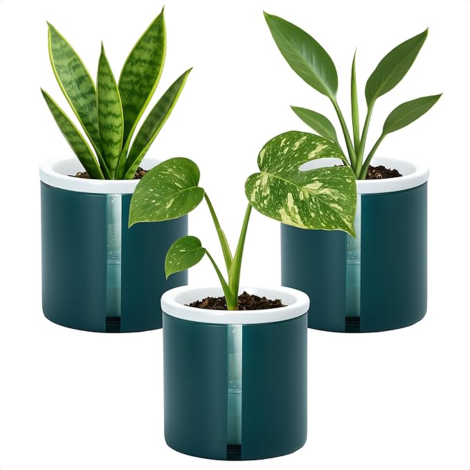 D'vine Dev 4 Inch Design Self Watering Planter for Indoor Plants, White Terracotta Pot with Teal Cylinder Glass Cup, Set of 3,37-Z-A-5-T DvineDevPlanterPotsandStand