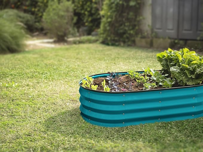 Plant & Plot Galvanized Raised Garden Beds Outdoor // 4×2×1 ft Planter Raised Beds for Gardening, Vegetables, Flowers // Large Metal Garden Box (Turquoise) PlantPlot