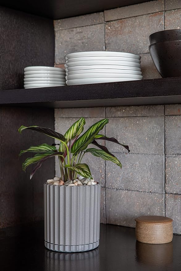 Veradek Demi Series Demi 6" Planter w/Tray, Grey VeradekOutdoor