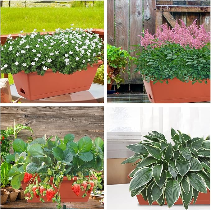 8pcs Window Box Planter,17 Inches Flower Window Boxes, Rectangle Planters Box with Drainage Holes and Trays, Plastic Vegetable Planters for Windowsill Patio Garden Home Decor Porch Yard (Red) Hananojia