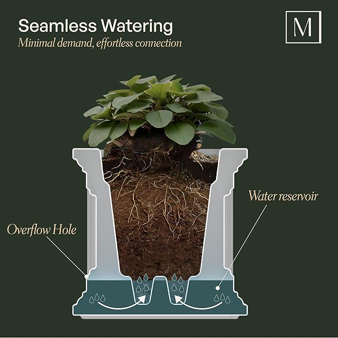 Mayne Nantucket 20-Inch Square Planter – Self-Watering, Weather-Resistant Planter for Flowers – Durable Outdoor Design for Patio, Porch, or Entryway Mayne