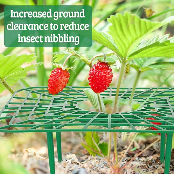 6 Sets Strawberry Plant Support with Mesh Cover - Square Gardening Frame, Animal Barrier, Iron Stakes & Storage Bag for Healthy Strawberries, Tomatoes, Veggies (Green) (6 pcs) NODMIPNS