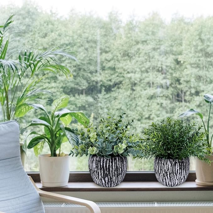 Winlyn Set of 3 Artificial Potted Plants Faux Eucalyptus Rosemary Boxwood Greenery in Black & White Concrete Pots Small Fake Plant for Indoor Outdoor Home Office Table Shelf Windowsill Greens Décor Winlyn