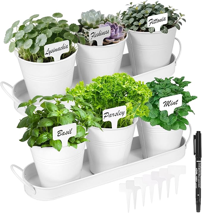 Herb Garden Planter Indoor Kit – 6 Metal Pots with 2 Trays for Windowsill & Kitchen Counter – Modern Decorative Indoor Planters for Herbs, Succulents & Small Plants, White Wacloud
