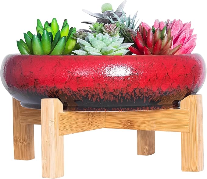 ARTKETTY Succulent Pots - 10 Inch Ceramic Bonsai Pots with Drainage Stand, Large Shallow Planters for Indoor Plants Decorative Garden Cactus Flower Plant Container Bowl ARTKETTY