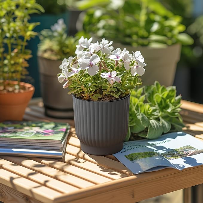 T4U 4 Inch Plant Pots Self Watering, 6 Pack African Violet Pots, Small Plant Pots for Plants, Small Indoor Plant Pot, Self Watering Planter for African Violet, Succulents (6 Pack 4" Pots, Gray) T4U