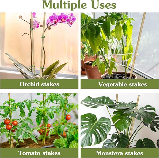 Plant Stakes 16inch, 20Pcs Natural Bamboo Sticks Garden Stakes, HAINANSTRY Plant Support Stakes for Indoor & Outdoor Plants, Orchid Tomato Vegetable Stakes for Garden HAINANSTRY