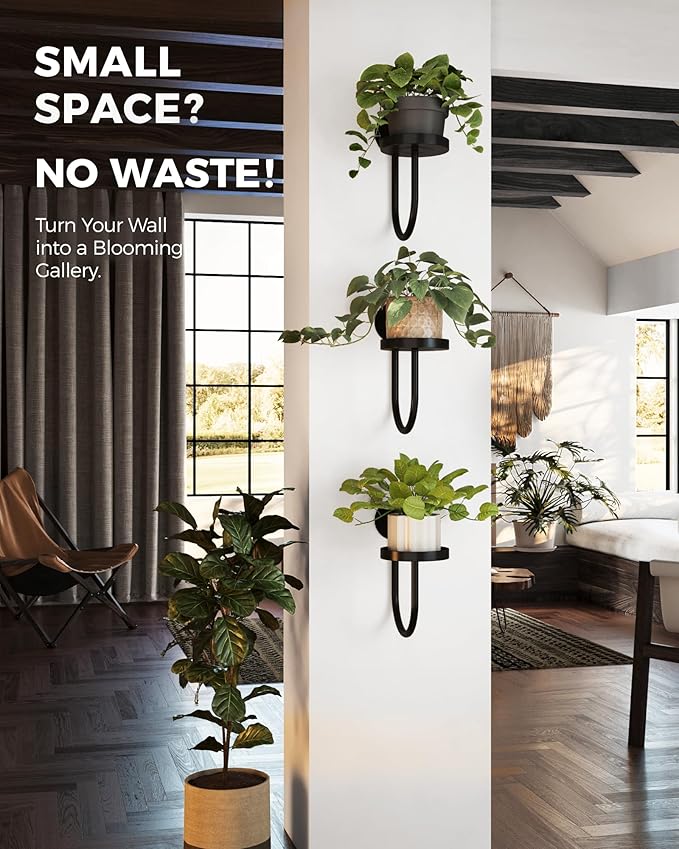 Bamworld Hanging Planters for Indoor Plants Wall Plant Holder Plant Hanger Indoor Wall Planters Window Plant Shelves Hanging Plant Holder Window Plant Hanger Plant Decor Black 3pcs Bamworld