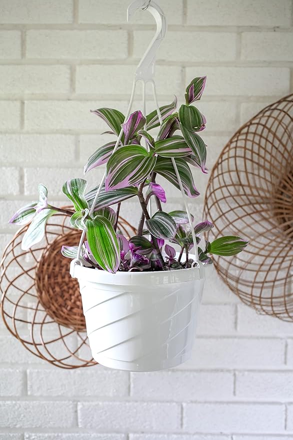 The HC Companies 12 Inch Euro Hanging Planters, Lightweight UV-Resistant Plastic Hanging Planters for Indoor & Outdoor Plants, 2-Pack Hanging Flower Pots for Garden, Patio & Home Decor, Clay TheHCCompanies