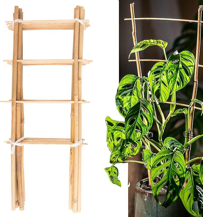 Avalution 10 Pack Natural Bamboo Trellis for Climbing Plants 16" Outdoor Garden Ladder Trellis, Fan -Shaped Plant Support Trellis for Potted Plant Avalution