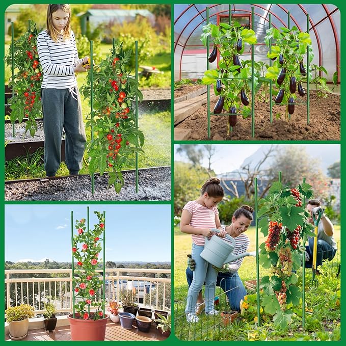6 Pack Tomato Cages, 51.2in Tomato Plant Support Stakes Heavy-Duty, Garden Tomato Cages & Trellis for Climbing Vegetables, Tomatoes, Peppers, and Potted Plants(6) MQUPIN