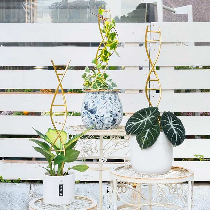 Indoor Plant Trellis for Potted Plants - Durable Metal Climbing Trellis with Unique DNA Spiral Design for Vining Plants, Easy Installation for Indoor & Outdoor Use Goooxim