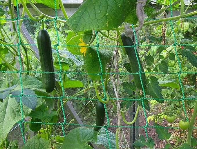 Trellis Netting for Climbing Plants - Heavy Duty Garden Trellis Netting for Cucumber, Vine, Fruits & Vegetables Tomato Plants Trellis Net, Climbing Vining Plants (1-Pack 24.6' x 6.6'Ft) Miuezuth