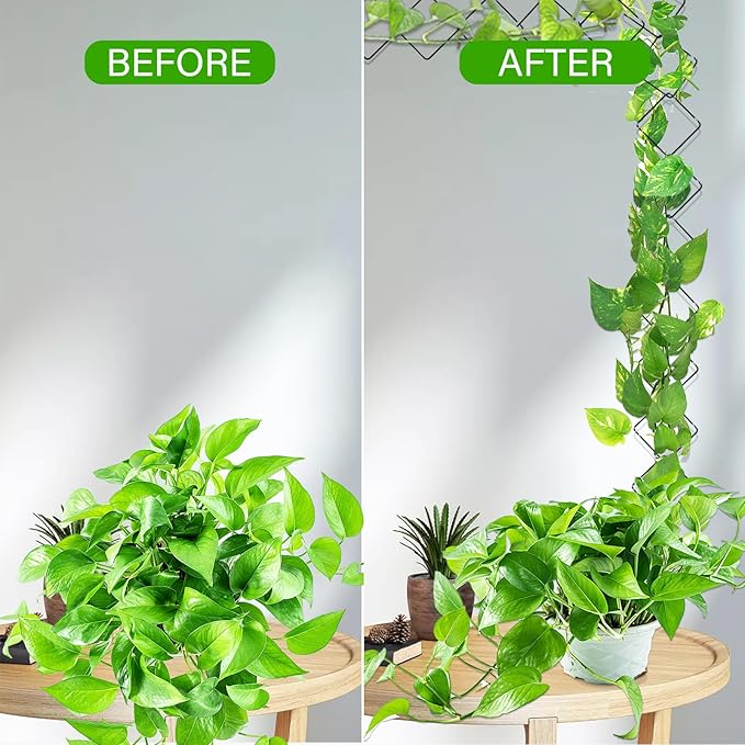 2 Pack 36pcs Chain Trellis for Climbing Plants Indoor & Outdoor, Garden Wall Plant Trellis Plant Vine Support Houseplant Accessories and Plant Gifts for Vine, Ivy, Monstera,Pothos Pahdecor