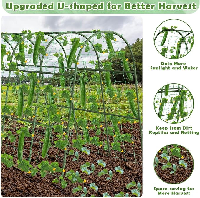 Cucumber Trellis for Raised Bed, Large Size Garden Arch Trellis for Climbing Plants Outdoor, Metal Garden Trellis for Spring Vegetables, Cucumber Trelli for Tomato, Bean, Pea, Grape, Plant tetutor