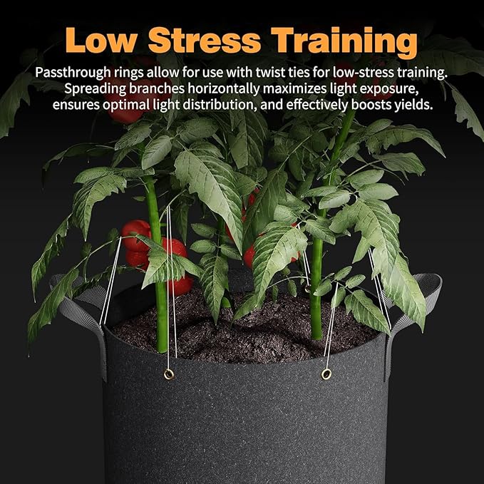 Self-Watering Grow Bags, 5-Pack 10 Gallon 420G Thick Nonwoven Fabric Pots with Reinforced Handles and Multi-Purpose Rings, for Low Stress Plant Training Fruits, Vegetables,and Flowers Patigrow