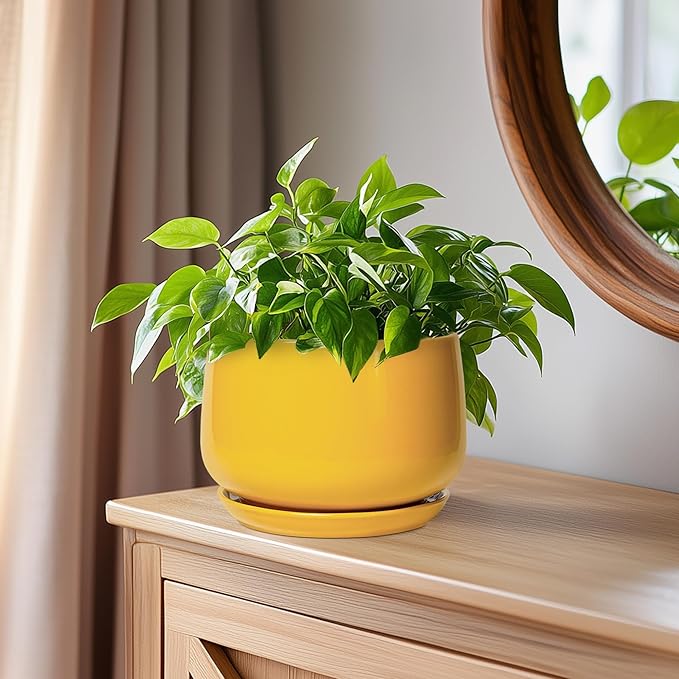 G EPGardening Ceramic Plant Pot - 6 Inch Ceramic Planter with Drainage Hole and Tray, Modern Round Planter, Flower Pot for Indoor Outdoor Plants, Plants Lovers Gifts, House Garden Decor, Yellow GEPGardening