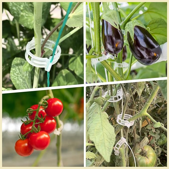 Dalzom® 300Pcs Tomato Clips, Plastic Trellis Clips Plant Support Clips, Plant Clips for Support, Grape Vine, Tomato Vine, Vegetables Plants, Garden Clips to Grow Upright Makes Plants Healthier (Green) Dalzom