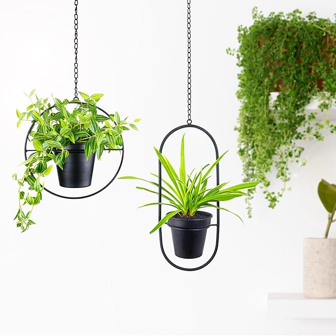 Metal Hanging Planters, Modern Plant Hanger with 5 inch Flower Pot, Set of 2 Black Plant Holder in Oval and Round Shape, Small Wall and Ceiling Planter for Indoor Plants, Home Décor HemePaha