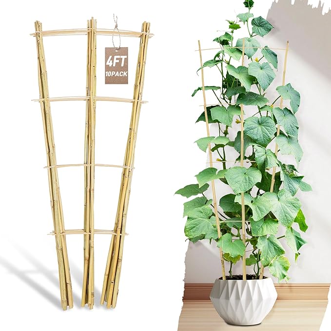 Avalution 10 Pack Bamboo Trellis for Climbing Plants, 4 FT Garden Ladder Trellis for Potted Plants Indoor, Fan-Shaped Small Plant Support Trellis for Houseplants Ivy Hoya Vine Monstera Avalution