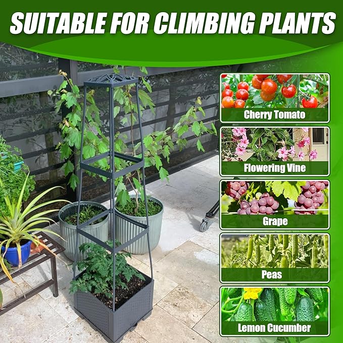 2 Packs Raised Garden Bed Tomato Planter Box with Trellis,56.8" Self-Watering Tomato Cage with Trapezoidal Trellis for Climbing Plants Flowers Vegetables Vine in Patio Garden Indoor Outdoor Biotolot