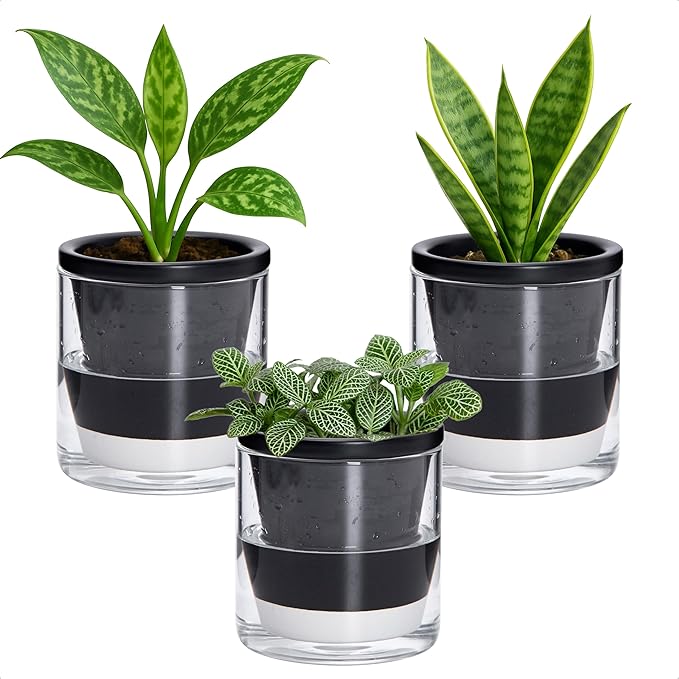 D'vine Dev 4 Inch Design Self Watering Planter for Indoor Plants, Black Terracotta Pot with Cylinder Glass Cup, Set of 3, 37-Z-A-3-T DvineDevPlanterPotsandStand