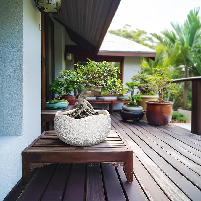 10 Inch Plant Pot - Ceramic Planter for Indoor Outdoor, Round Bonsai Pots, Decorative Flower Pots with Drainage Hole, Modern Unique Planters, House Decor, Home Gifts, White Thirtypot
