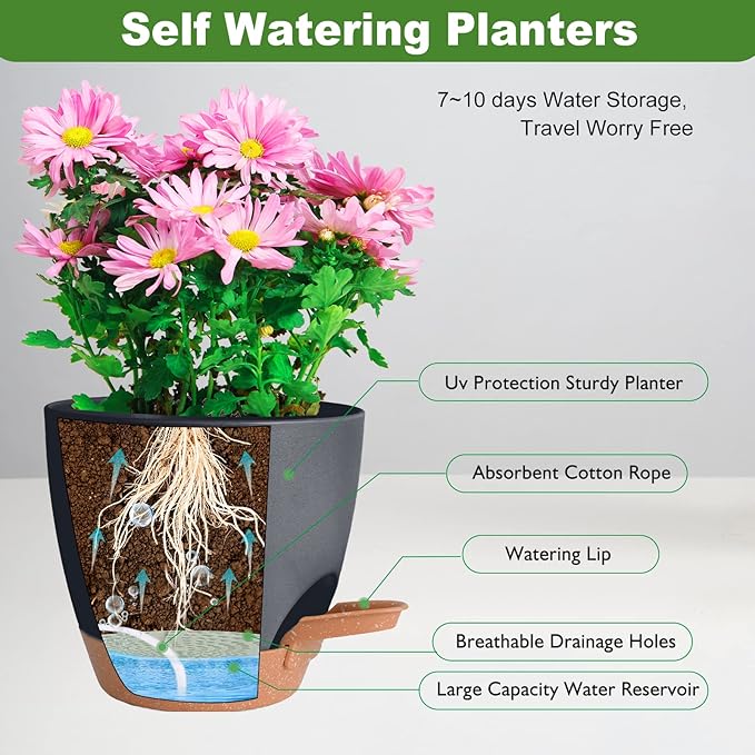 Planters for Indoor Plants, 8/7/6.5/6/5.5/5 Inch Self Watering Plant Planters with Drainage Hole, Plastic Planters Flower Pots for Indoor Outdoor Plants (Black) Vanslogreen