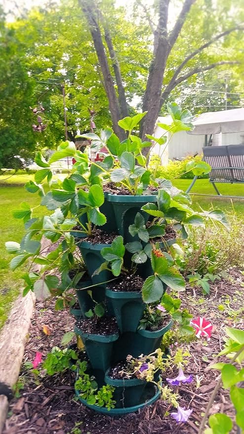 Mr. Stacky 1305-HG 5-Tier Stackable Strawberry, Herb, Flower, & Vegetable Planter - Vertical Gardening Indoor / Outdoor Stacking Garden Pots Hunter Green, 22.5 Quarts Mr.+Stacky