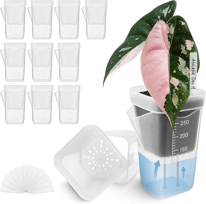 12 Pack 2.5" Small Self Watering Pots for Indoor Plants, Mini Clear Plastic Planters, Semi-Hydro, Propagation, Cuttings, Seedlings, Hoya, African Violets, Alocasia, LECA, PON,12 Plant Label Vandorelle