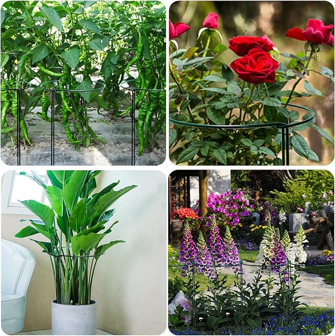 TCBWFY 10 Pack Garden Plant Support Stakes,10" Widex16 High Heavy Duty Interlinked Half Round Peony Support Ring Cage for Indoor Outdoor Plants,Plant Supports for Peony,Tomato,Hydrangea,Rose TCBWFY