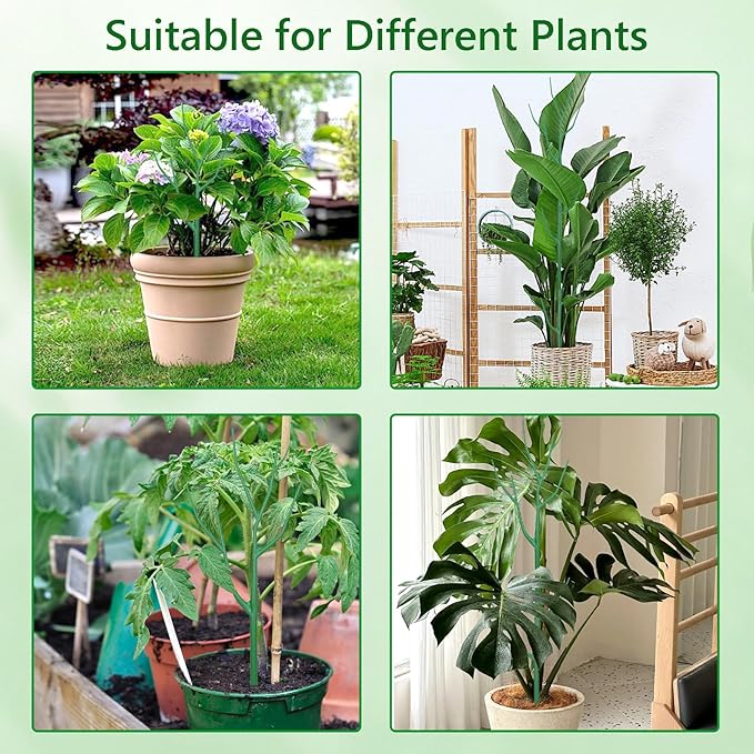 10 Pack Stackable Plant Supports Stakes, Sturdy Garden Trellis for Climbing & Vining Plants, Monstera, Pothos & Philodendron - Reusable Plant Stakes for Indoor & Outdoor Potted Plants Obralitic