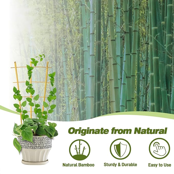 Avalution 10 Pack Bamboo Trellis for Climbing Plants 16" Natural Garden Ladder Trellis, Fan -Shaped Plant Support Trellis for Potted Plant Decor Avalution