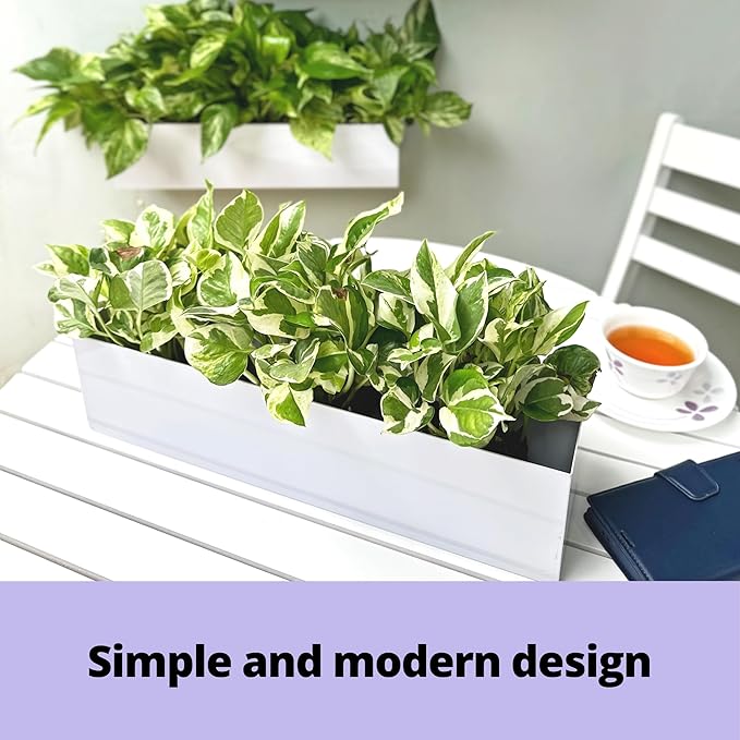 LaLaGreen Wall Planter (16 Inch, 2 Pack) Carbon Steel White Metal Hanging Flower Pot for Succulents, Wall Mount Rectangular Window Sill Box Fence Floating Garden Shelf for Deck Indoor Outdoor Decor L%C3%A1L%C3%A1Green