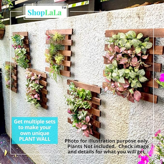 ShopLaLa Wall Planter - 2 Pack Wooden Hanging Succulent Wall Decor, Live Air Plants Orchids Wall Mounted Holder Frame Display for Indoor Outdoor, Living Plant Wall Decor Balcony Garden ShopLaLa