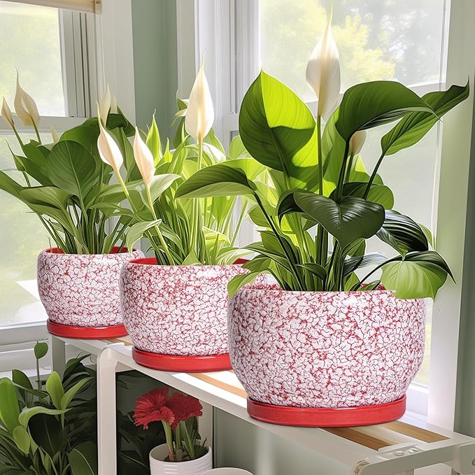SQOWL Ceramic Planters for Indoor Plants - 10 Inch Flower Pots with Drainage Hole and Saucer, Decorative Ceramic Plant Pots, Round Large Planter Outdoor, Room Decor, Housewarming Gifts, Red and White SQOWL