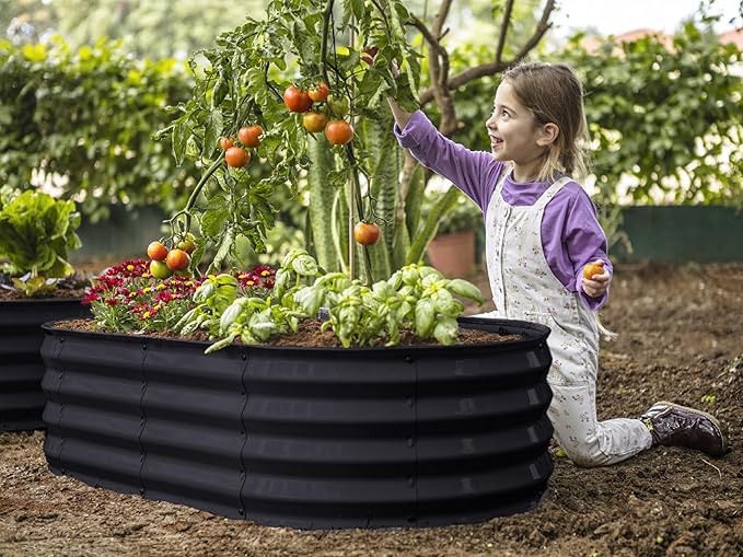 Plant & Plot Galvanized Raised Garden Beds Outdoor // 4×2×1 ft (2-Pack) Planter Raised Beds for Gardening, Vegetables, Flowers // Large Metal Garden Box // Patented Tool-Free Design (Black) PlantPlot
