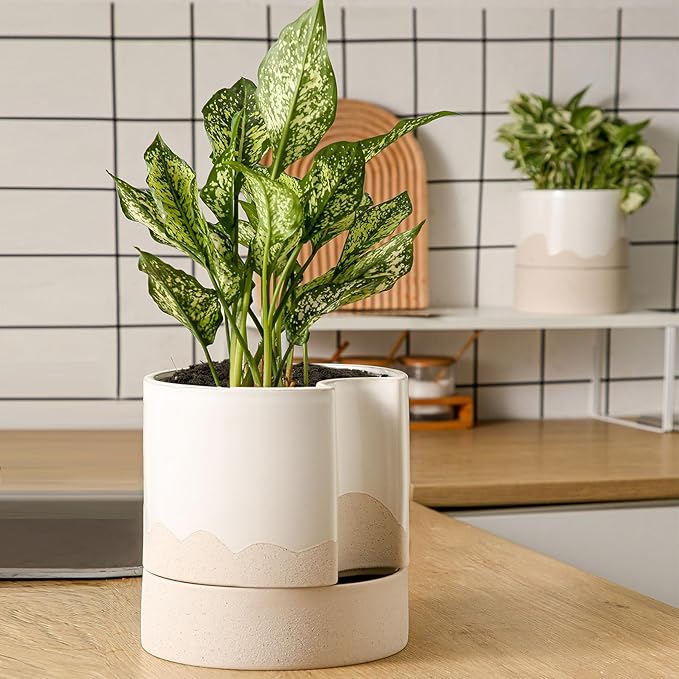 Nihow Self Watering Plant Pot: 8 Inch Ceramic Planter with Drainage Hole & Water Storage Plus for Indoor & Outdoor Plants - Cylinder Round Flower Pot for Succulent/Herbs/Violets - White & Wave Nature Nihow