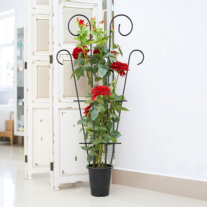 4 Pack 43'' Indoor Plant Trellis for Potted Plants Climbing, Outdoor Metal Garden Trellis Houseplants Flowers Vine Ivy, Wave Shape, Black ThealynGardens