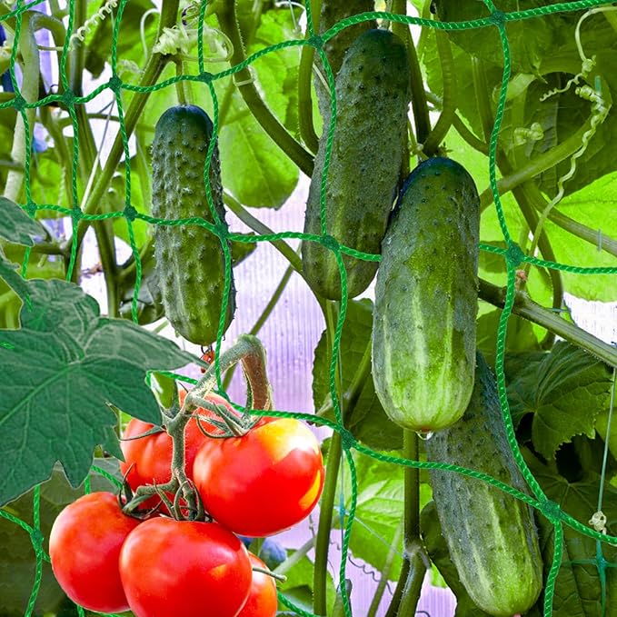6.5x10FT Plant Trellis Netting,Garden Climbing Grow Net Heavy Duty Polyester Square Mesh Nets for Vining Plant,Tomato,Cucumber,Grape,Fruits,Vegetable Paradistar