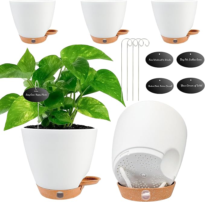 6 Inch Self Watering Pots for Indoor Plants (5-Pack) – Small Plastic Planters with Water Window, Drainage Holes & Trays, Indoor Outdoor Flower Pots for Herbs, Succulents, Home Garden Decor (White) Fielda