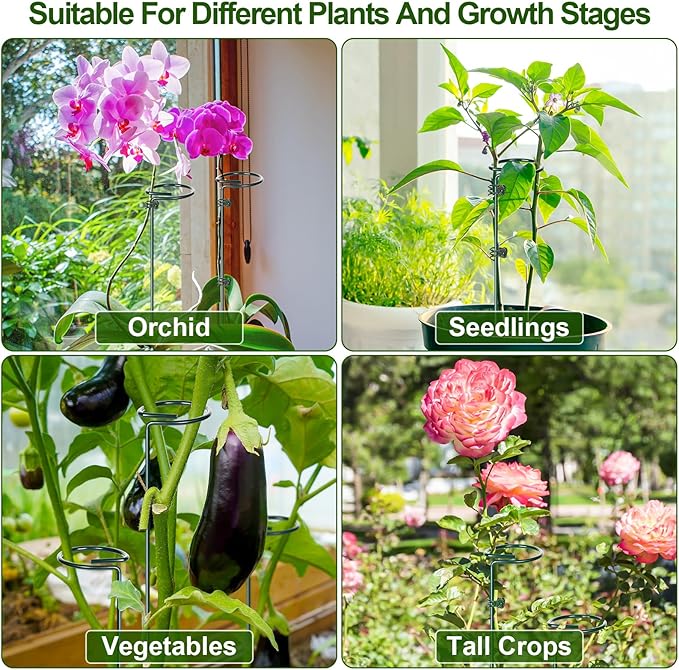 Mwellewm 6 Sets Plant Stakes 12/25/36 Inch Adjustable Plant Support Stakes Tall for Indoor Outdoor Plant Holder Stick Steel Garden Stem Pole Amaryllis Stakes with 30 Clip for Tomato Orchid Lily Flower Mwellewm